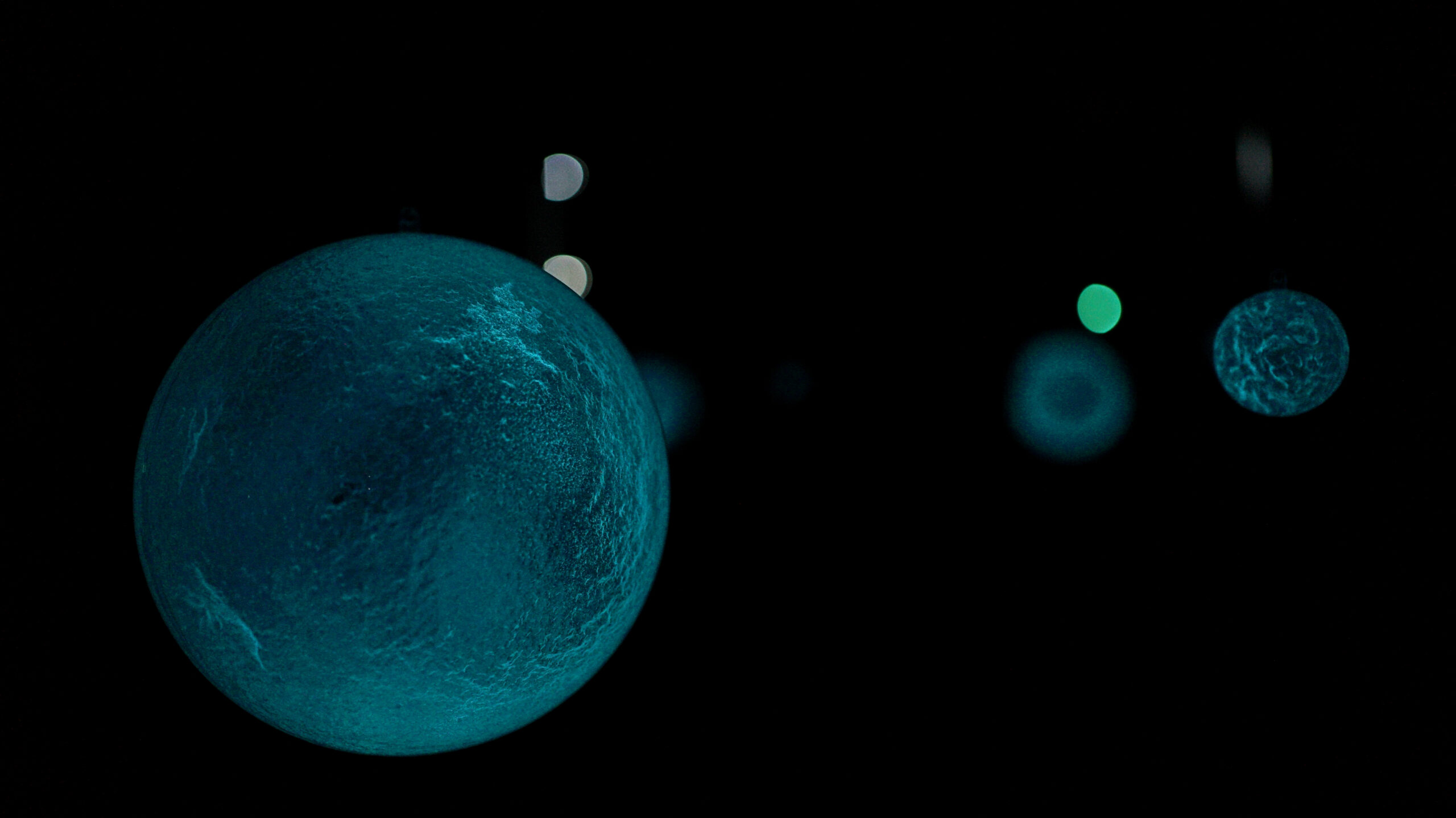 ZEF-Installation bioluminescente
