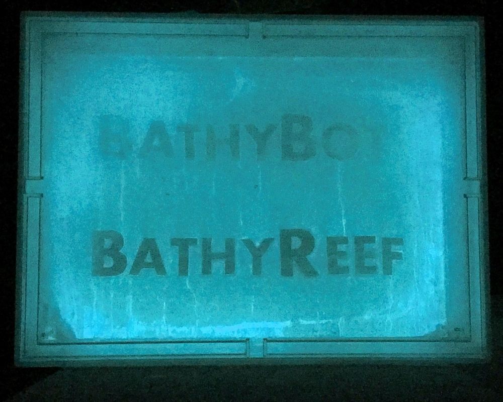 Gel bioluminescent 3
