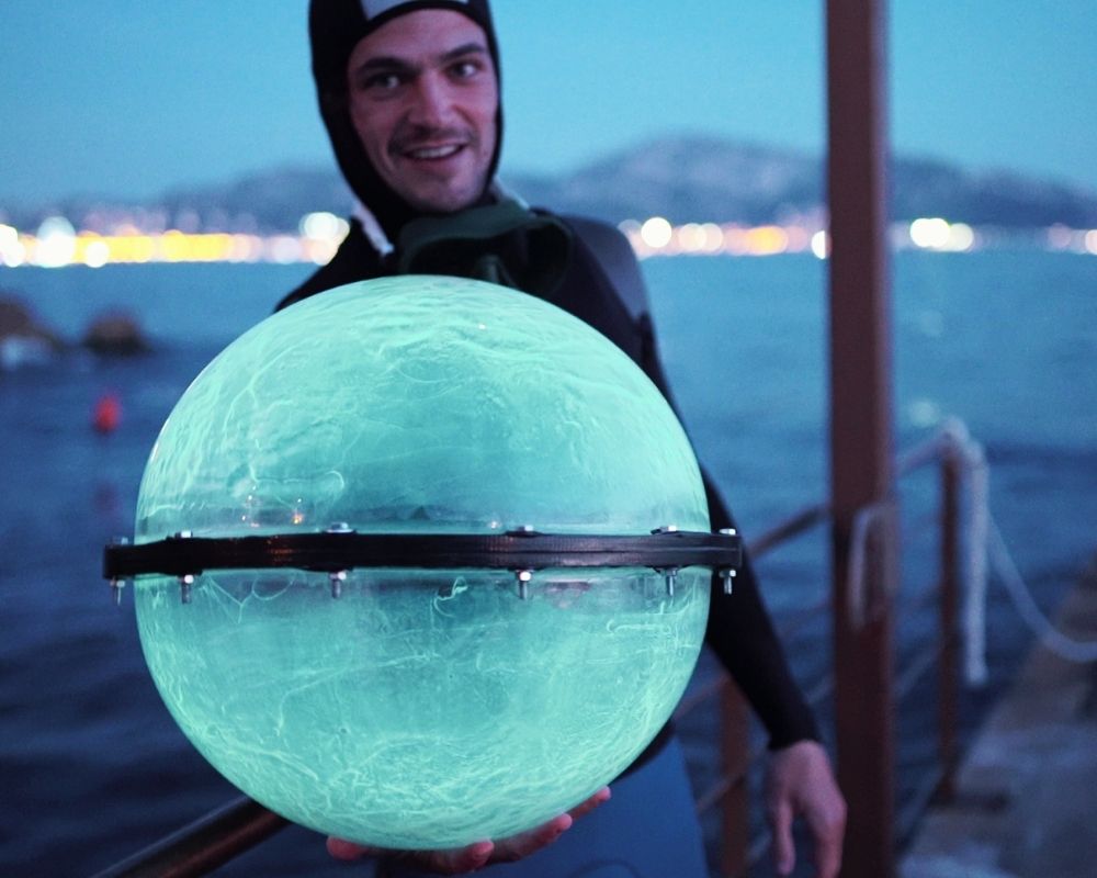 Sphères bioluminescentes 3
